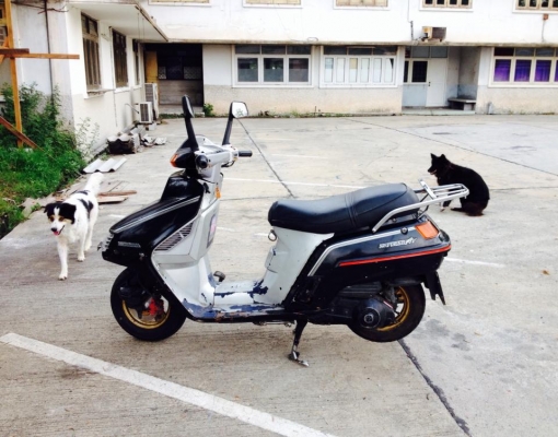 ปิดการขาย