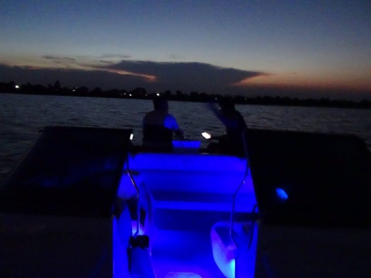 ขาย crownline 180 ss ปี2012 18ฟุต