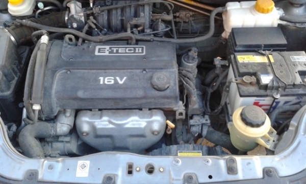 ขายดาว-หรือตัดสด45000