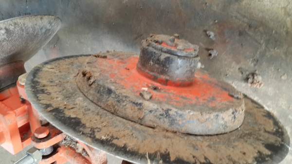 ขายคัดท้าย  4250