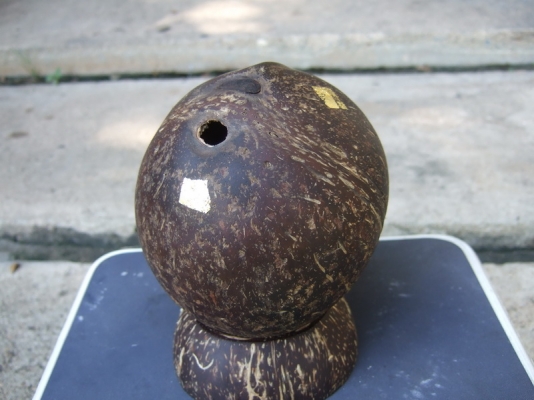 กะลาตาเดียว เต็มใบ