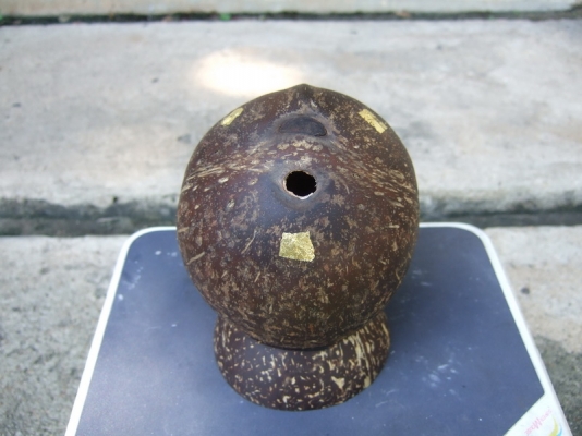 กะลาตาเดียว เต็มใบ