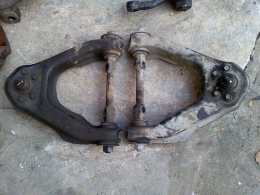 ปีกนกบน terrano I ใส่ bigm ได้เลย