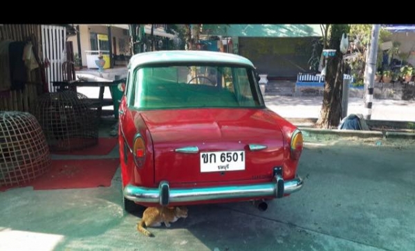 ขายรถ FIAT  สีขาว-แดง ปี2524