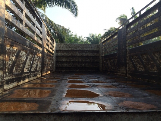 รถอีซูซุ 10 ล้อดั้ม FXZ 360 แรงม้า ปี 56. ( รถวิ่ง 13x,xxx กม. ) , ( ขายแม่ , ลูก. )   สนใจติดต่อ  081 - 6079515