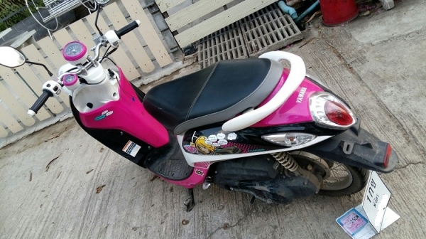 ฟีโน่ ตามรูปชัดเจนเอาไปล้างเองนะครับ