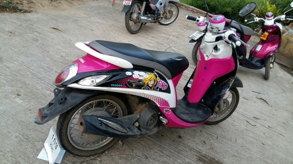 ฟีโน่ ตามรูปชัดเจนเอาไปล้างเองนะครับ