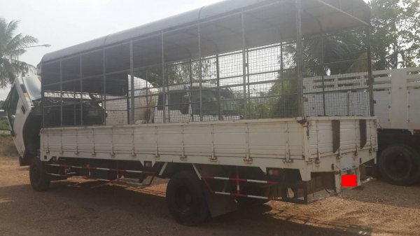 ขาย ISUZU FRR210 ปี'52