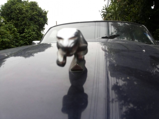 1975 Jaguar XJ Series sport Series 3 40 years เครื่องเดิมๆติดแก็สสวยๆสุดคลาสสิคราคาประหยัด