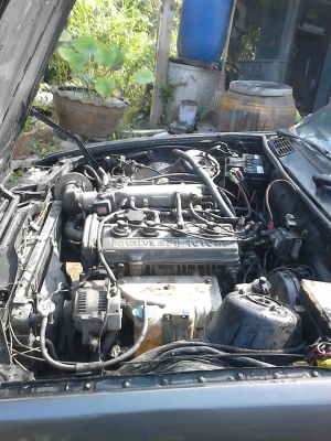 ขายBMW 318i  ราคา29,000