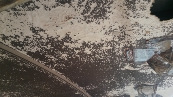 ขายหัวรถฮีโน่10ล้อใหญ่ อุปกรณ์ครบ มีกระปุกเพาเวอร์ด้วย ขาย 46000 บาท