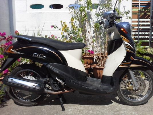 ฟีโน่ปี52