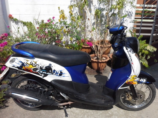 ฟีโน่ปี53