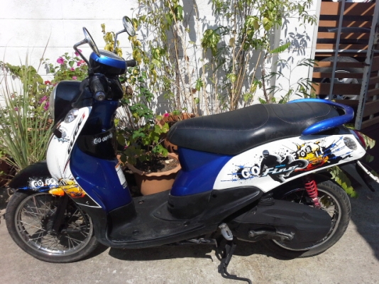 ฟีโน่ปี53 ฟีโน่ปี53