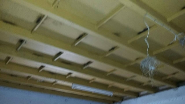 ชายโครงสร้างขนาด กว้าง 26 เมตร ยาว 54 เมตรหลังคาเมทัลชีตโลละ 20 บาท