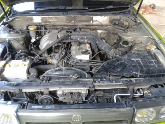 นิสสัน ซิฟิโล่ A31ปี93 เครืองRb20ออโต แก๊ส สวย แรงเดิมๆ72000