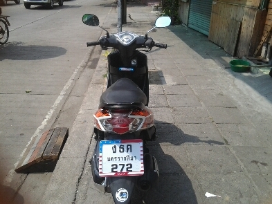 มีโอปี2552