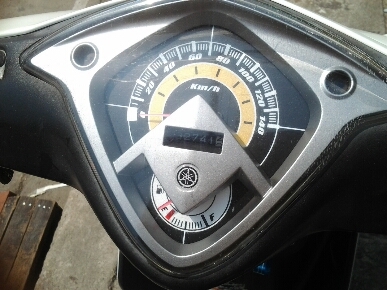 มีโอปี2552