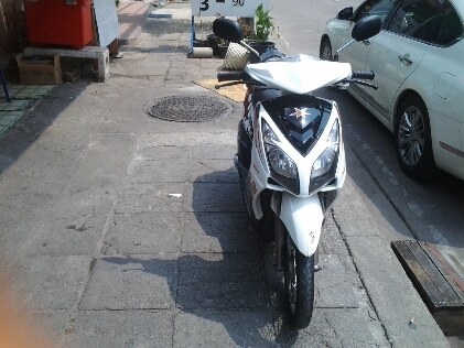 มีโอปี2552