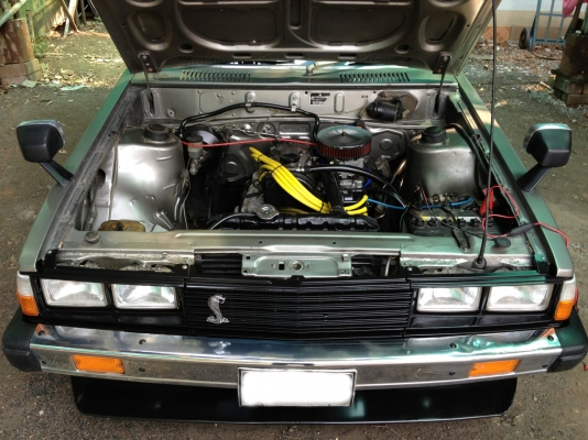 ขาย มัสแตงกวาแลนท์ ขาย มัสแตงกวาแลนท์