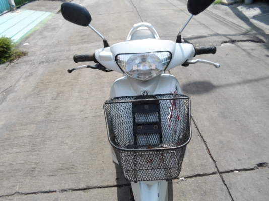 ขายมีโอตัวลายจีน ขายมีโอตัวลายจีน