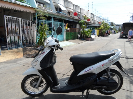 ขายมีโอตัวลายจีน ขายมีโอตัวลายจีน