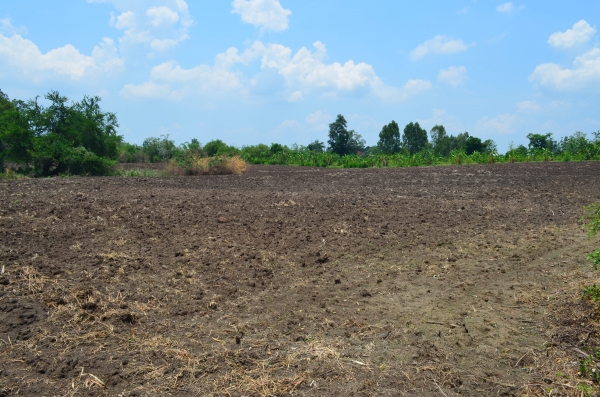 ขายที่ดิน 14 ไไร่ 2 งาน เอกสารโฉนด