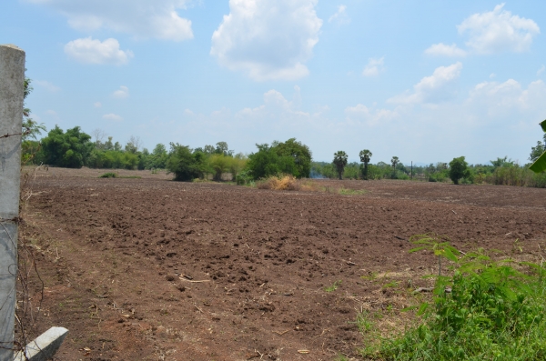ขายที่ดิน 14 ไไร่ 2 งาน เอกสารโฉนด