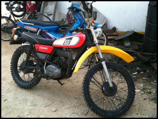 ขายแล้ว