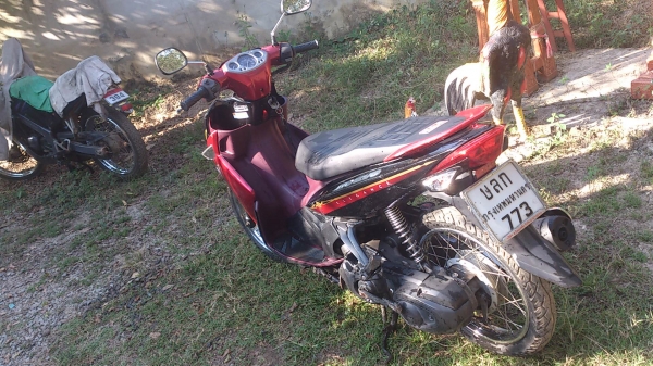 ขายนูโว อิดิแกน135 สภาพสวยครับ