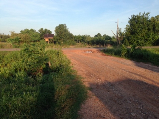 ขาย ลานมัน ลานไม้ ลานอ้อย 2ไร่ นส3 ราคาถูก ขาย ลานมัน ลานไม้ ลานอ้อย 2ไร่ นส3 ราคาถูก