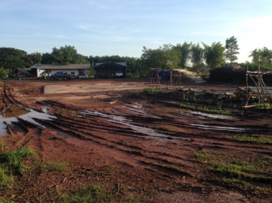 ขาย ลานมัน ลานไม้ ลานอ้อย 2ไร่ นส3 ราคาถูก ขาย ลานมัน ลานไม้ ลานอ้อย 2ไร่ นส3 ราคาถูก