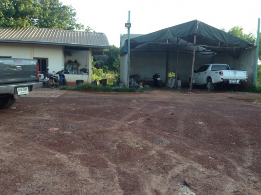 ขาย ลานมัน ลานไม้ ลานอ้อย 2ไร่ นส3 ราคาถูก ขาย ลานมัน ลานไม้ ลานอ้อย 2ไร่ นส3 ราคาถูก