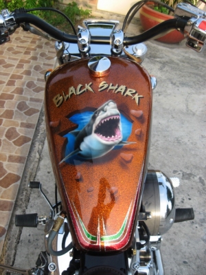 ขาย yamaha dragstar400 ปี 03 แต่ง sportster