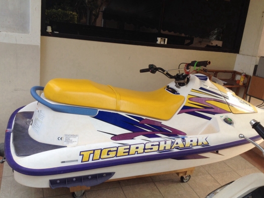 ขาย TIGERSHARK. 650. สภาพดี พร้อมขับ. เครื่องดี ประหยัดน้ำมันมาก. แรง