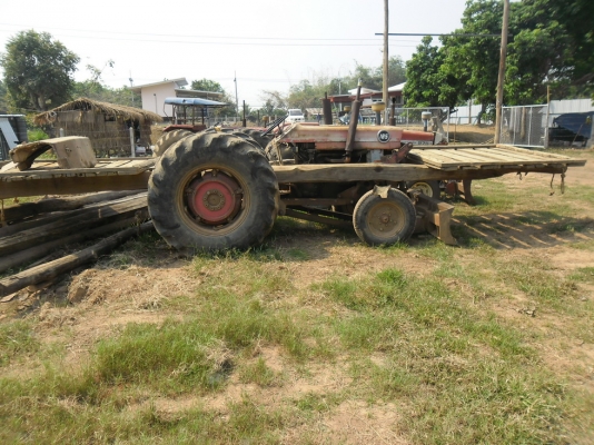 ขาย แมสซี่ 185 พร้อมใบมีด