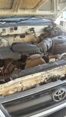 ไทเกอร์ ตอนเดียว ราคาจิ๊บๆ