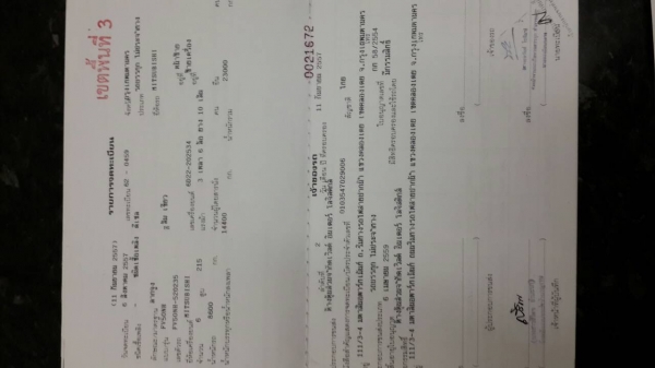 ขายหัวลาก พร้อมหางก้างปลายาว10เมตร ขายหัวลาก พร้อมหางก้างปลายาว10เมตร