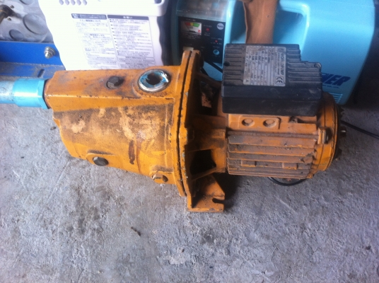 ปั๊มน้ำ WORLDPUMP   1 แรงม้า ดันน้ำขึ้นตรงได้ถึง 42 ม.