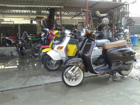 Honda bite50ccสตาร์ทมือพร้อมใช้4จังหวะ Honda bite50ccสตาร์ทมือพร้อมใช้4จังหวะ