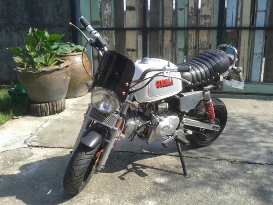 กอลิล่า125ccทะเบียนพร้อมโอน ของแต่งตามรูป