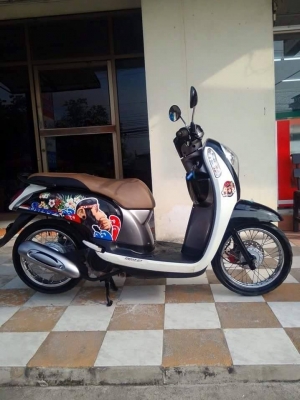 All New Scoopy i ปี 2556 รุ่นใหม่ล่าสุด รถสวยมาก ลายใหม่ Monkey DO