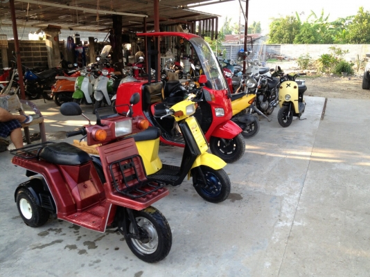 Honda gyro xสตาร์ทมือ Honda gyro xสตาร์ทมือ