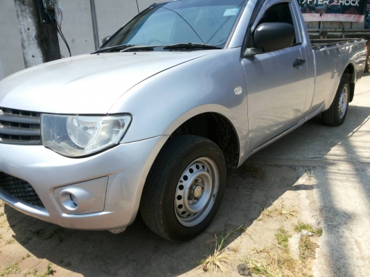 ไทรตั้นเดียว 2011