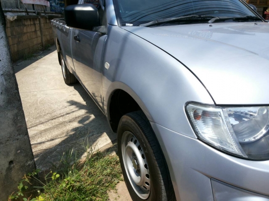 ไทรตั้นเดียว 2011