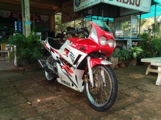 ขาย TZR 150 CC.เครื่องฟิตมาใหม่ วิ่งดีมาก ไฟออกครบทุกจุด สนใจโทร 089-8054390 โอ๋ ลพบุรี
