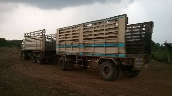 ขายรถพ่วง แม่ดั้ม-ลูกไม่ดั้ม HINO FM3M เครื่องเดิม M10C 240 แรงม้า เกียร์เดิม สโลว์เดิม คัสซีสวยจัดตลอดเส้น ยางเต็มทั้ง 18 เส้น ทะเบียนพร้อมโอนครับ