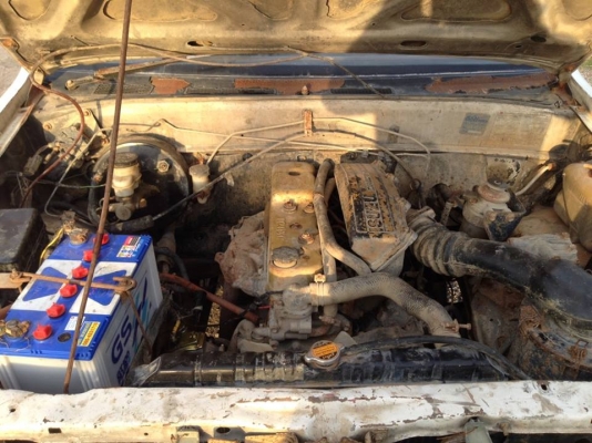 อีซูซุ TFR ตอนเดียว มังกรทอง