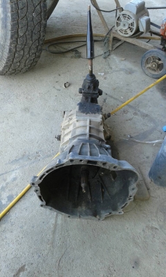 เกียร์ไทเกอร์D4D เกียร์ไทเกอร์D4D