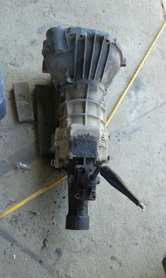 เกียร์ไทเกอร์D4D